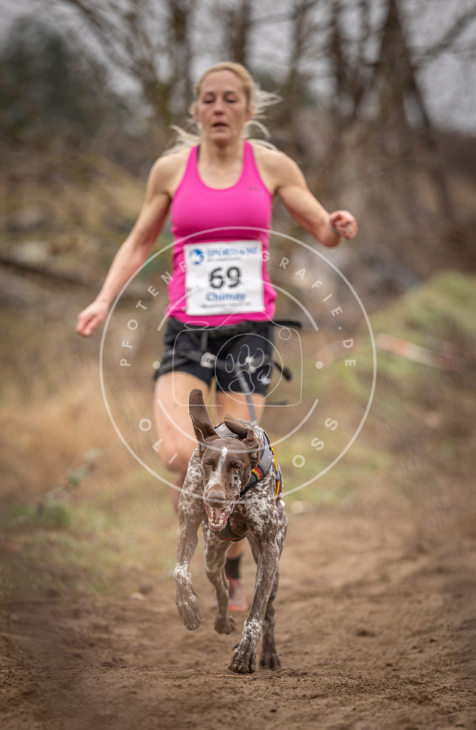 DV3A9599 | Hundefotografie, Tierfotograf, Pfotenfotografie, Fotoshooting Hund, Hunde Portrait, Hundesport, Hundeportraits, Heideshooting, Hunde, Sportfotograf, Hundefotograf, Turnierhundsport, THS,  - Realisiert mit Pictrs.com