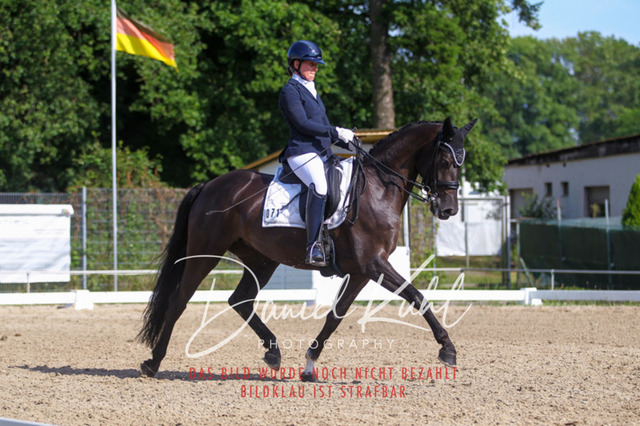 DKP41245 | Turniersportfotografie; Pferdefotografie; Dressurfotografie