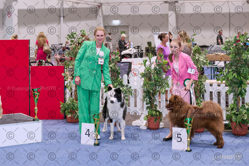 202406_ÖKV-IHA-Tulln24_NZ9_8694 | proPHOTO - Realisiert mit Pictrs.com