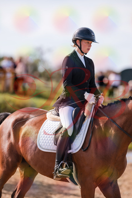 2026_10_03_Siefer-Hof_131532_Z81_64158556 | Professionelle Reitsport-, Turnier- und Eventfotografie von Robert Broda. Galerien mit ausgewählten und bearbeiteten Bildern direkt online ansehen und bestellen.