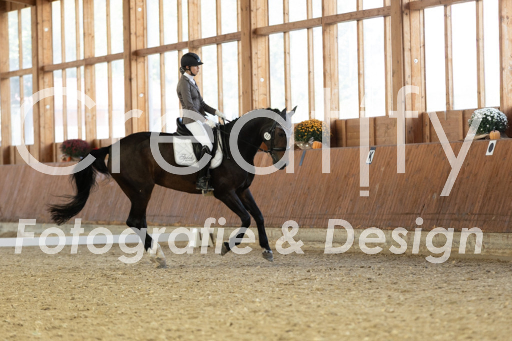 IMG_4743 | Creatify Fotografie