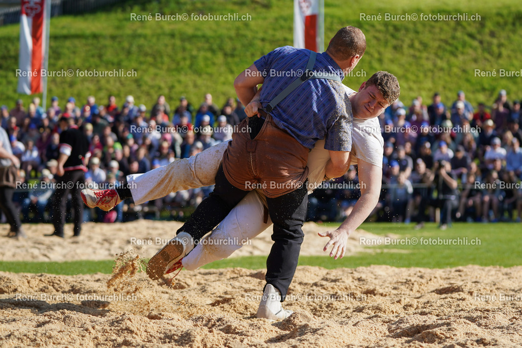 20220515-DSC06366-4 | René Burch leidenschaftlicher Fotograf aus Kerns in Obwalden.  Hier finden sie Sport, Landschaft und Natur Fotografie.
 - Realisiert mit Pictrs.com