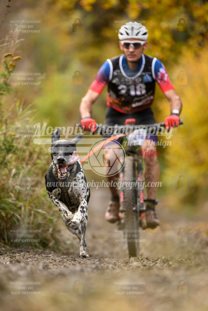 MompixPhotography_ICF_WC_2024_SA_Bike_-359 | PayLife
