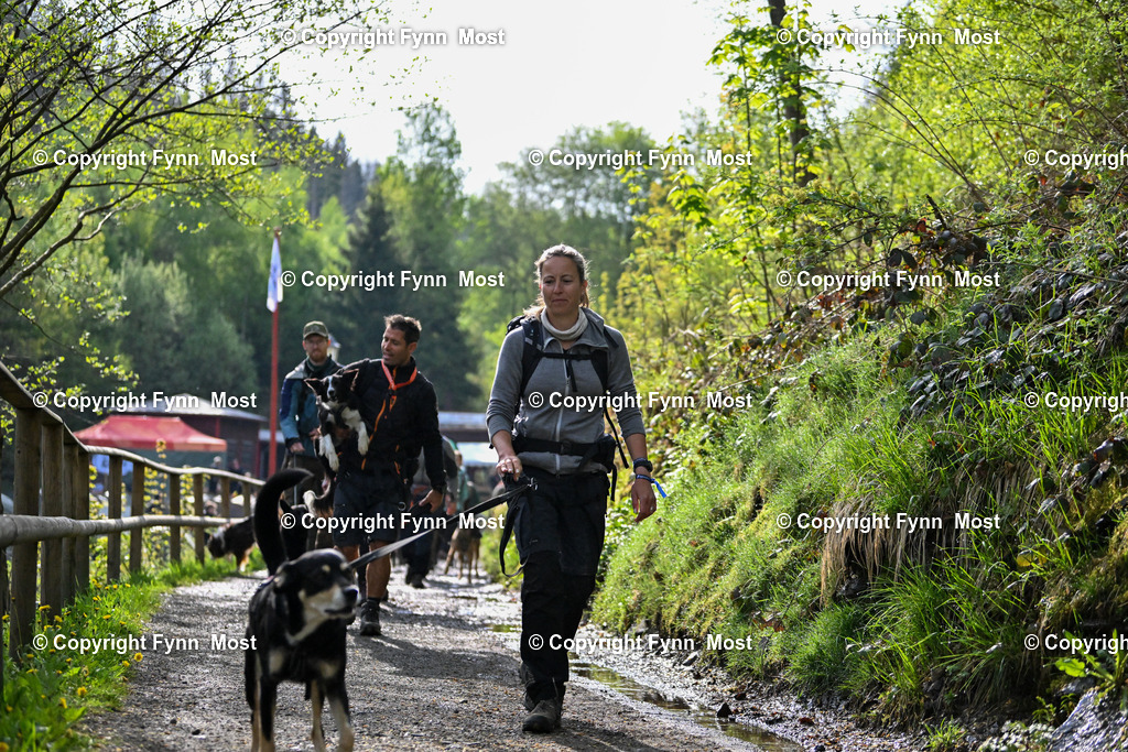 DSC_2862 | Hallo und herzlich Willkommen auf meiner Shop-Seite Fynn Most.

Ich wünsche Dir viel Spaß beim stöbern durch die Bilder, wenn Du Fragen hast oder Bilder vermisst, kannst du mir gerne eine Nachricht schreiben. - Realized with Pictrs.com