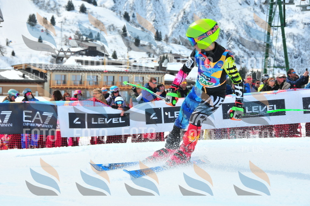 DSC_2307 | holidayphoto