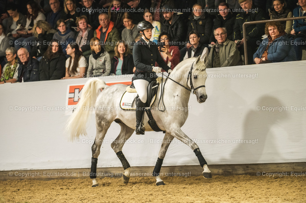20240302_Hengstvorstellung_Marbach_TOMsPiC_1059 | equistock