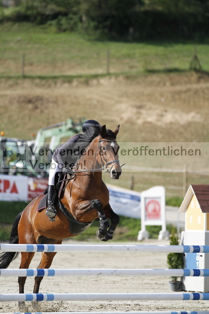 _MG_8097 | equestrian-live-com