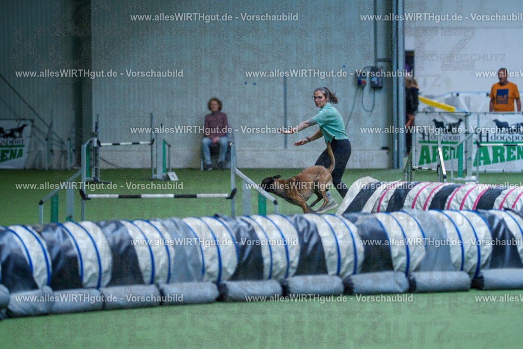 @allesWIRTHgut_Tierfotografie - www.allesWIRTHgut.de - 2604261404-7R503358 | Professionelle Tierfotografie in Mönchengladbach von Daniel Wirth (allesWIRTHgut). Liebevolle & natürliche Bilder von Hunden & Katzen für unvergessliche Erinnerungen.