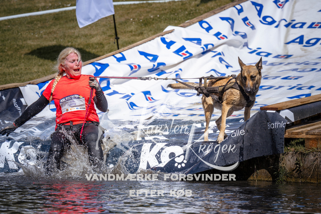 _ZZ936270940 | kk-dogfotos