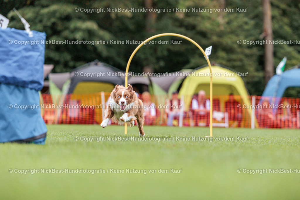 BSP Hoopers-H2 Tag2-2026-Nickbest-Hundefotografie-TuS Komet Arsten e.V.-5393 | Dein Hund! Dein Moment! Deine Erinnerungen! Hundefotografie in Bremen Blumenthal. Ich fange die besonderen Momente deines Vierbeiners ein – ob Indoor mit Blitzanlage oder in der freien Natur. Sicher dir dein Moment und dein Termin für eure Erinnerungen.