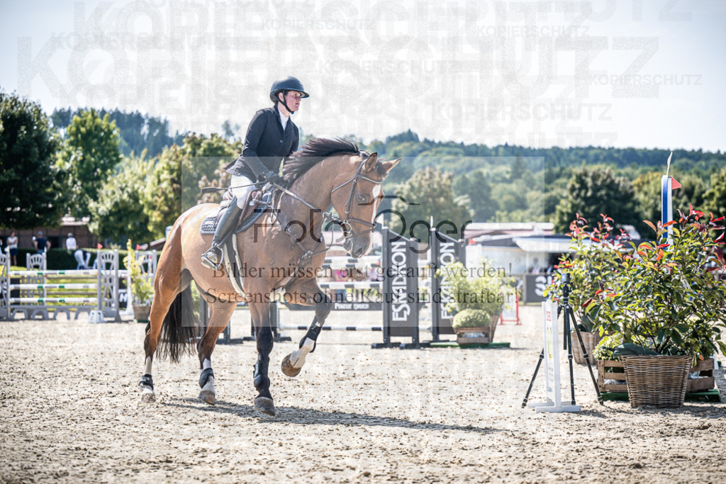DOS_7261 | Entdecke hochwertige Reitturnierfotos von Foto Oger. Professionell, emotional und authentisch – jetzt Lieblingsmomente im Shop bestellen.Deutschlandweite Turnierfotografie. - Realisiert mit Pictrs.com