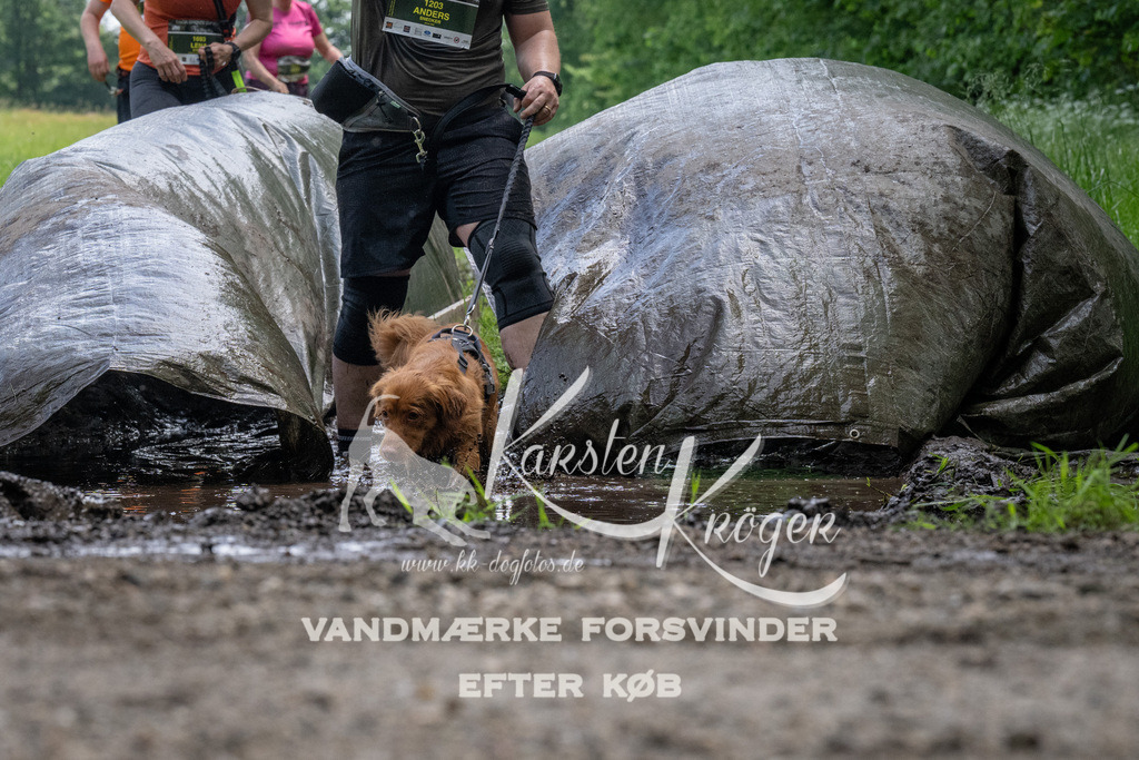 1143_ZZ94110 | kk-dogfotos