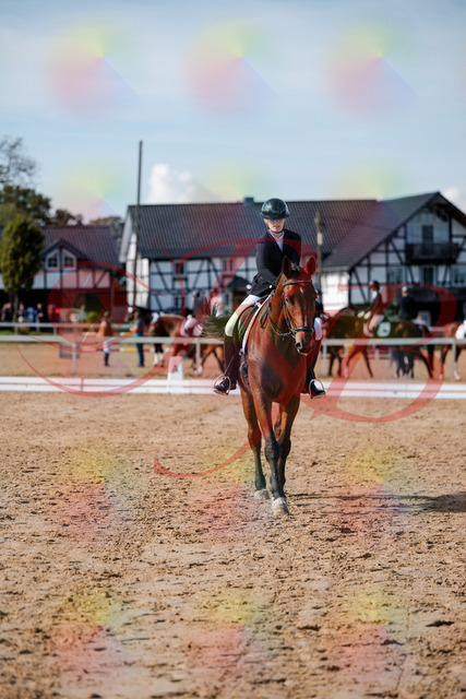 2026_10_03_Siefer-Hof_131243_Z63_76429898 | Professionelle Reitsport-, Turnier- und Eventfotografie von Robert Broda. Galerien mit ausgewählten und bearbeiteten Bildern direkt online ansehen und bestellen.