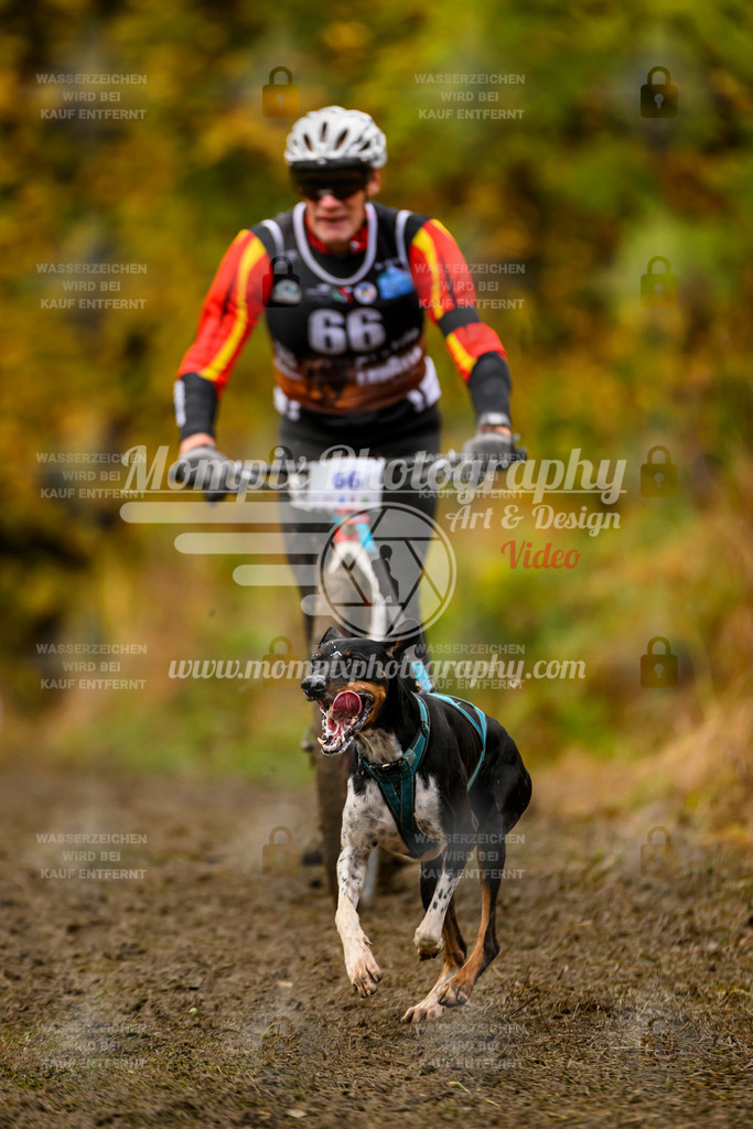 MompixPhotography_ICF_WC_2024_SA_DS_-154 | PayLife