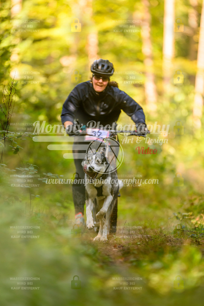 MompixPhotography_Yens2025_B2-79 | PayLife