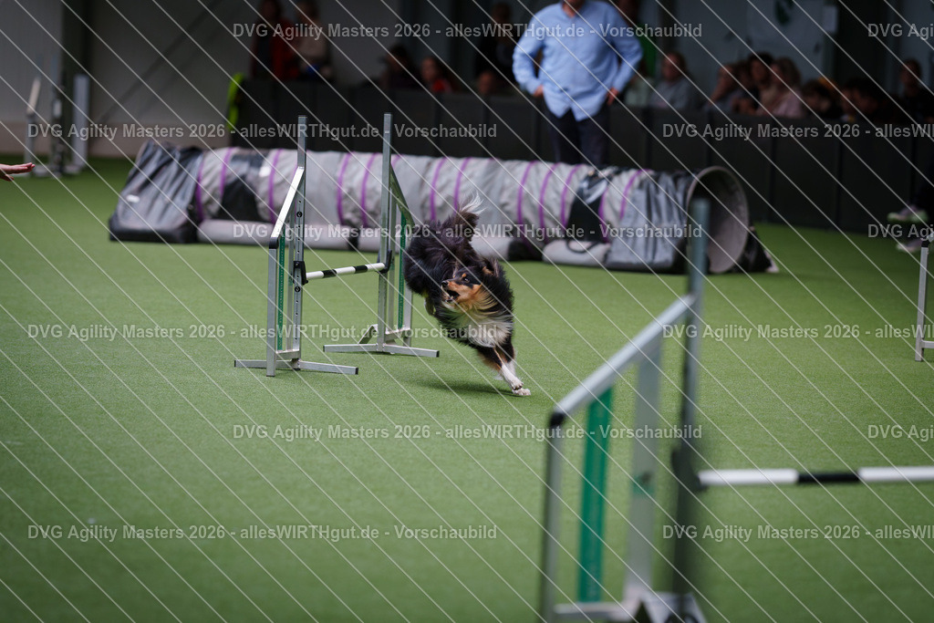 allesWIRTHgut_Tierfotografie-DVG_Agility_Masters_2026-11_11-7R505113 | Professionelle Tierfotografie in Mönchengladbach von Daniel Wirth (allesWIRTHgut). Liebevolle & natürliche Bilder von Hunden & Katzen für unvergessliche Erinnerungen.