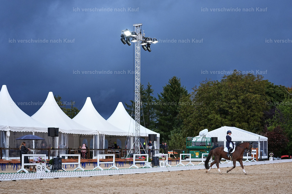 8_2-195-DRESSUR S_  -Marixx-4629 | working equitationturnier fotograf videograf stoibphotography marixx film working equitation deutschland reitsport turnierfotografie eventfotografie equestrian events