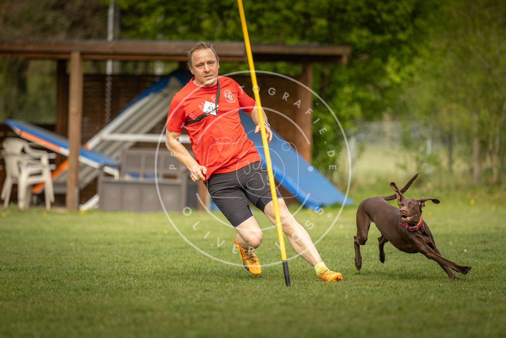 Pfotenfotografie_DV3A5271 | Hundefotografie, Tierfotograf, Pfotenfotografie, Fotoshooting Hund, Hunde Portrait, Hundesport, Hundeportraits, Heideshooting, Hunde, Sportfotograf, Hundefotograf, Turnierhundsport, THS,  - Realisiert mit Pictrs.com