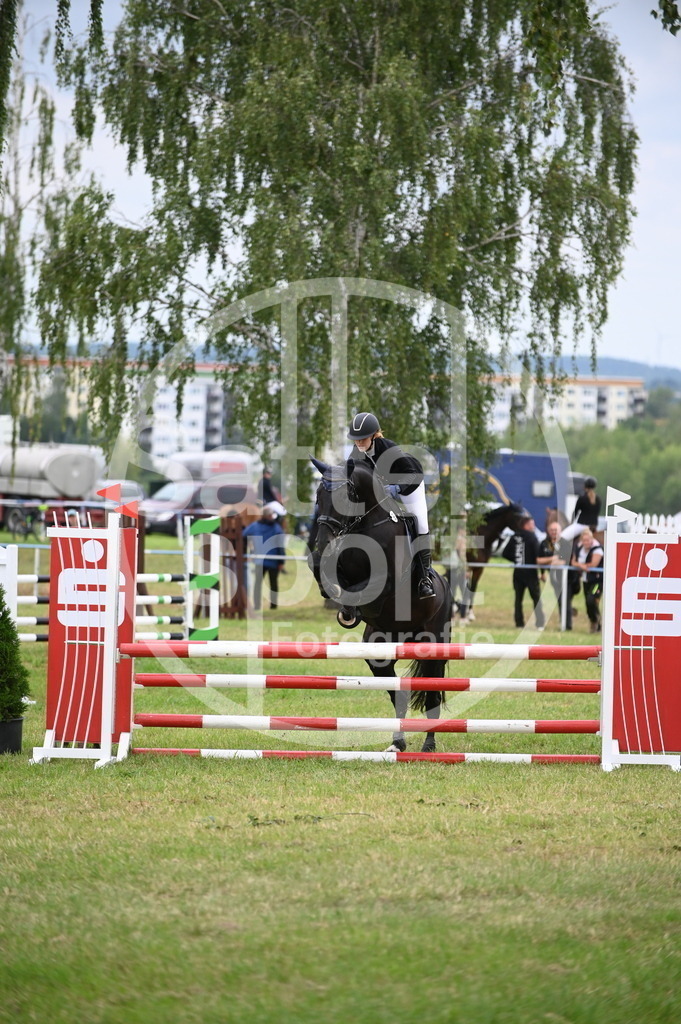 DSC_1299 | sattelsport - Realisiert mit Pictrs.com