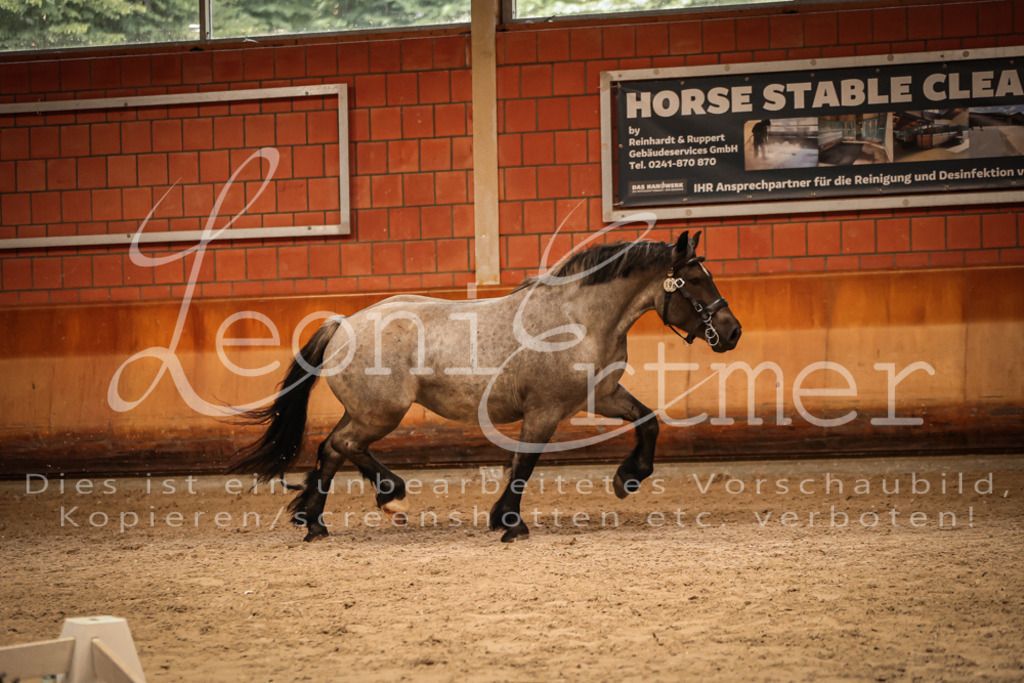 SaFL00333 | Leoni Ertmer Photography - Realisiert mit Pictrs.com