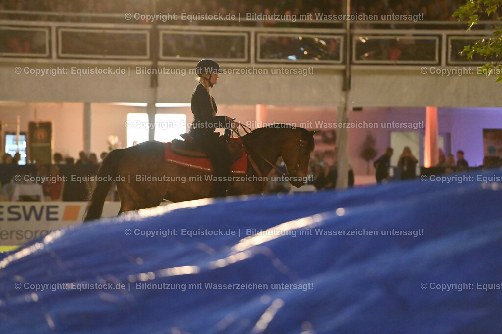 20230526_Pferdenacht_1046 | equistock