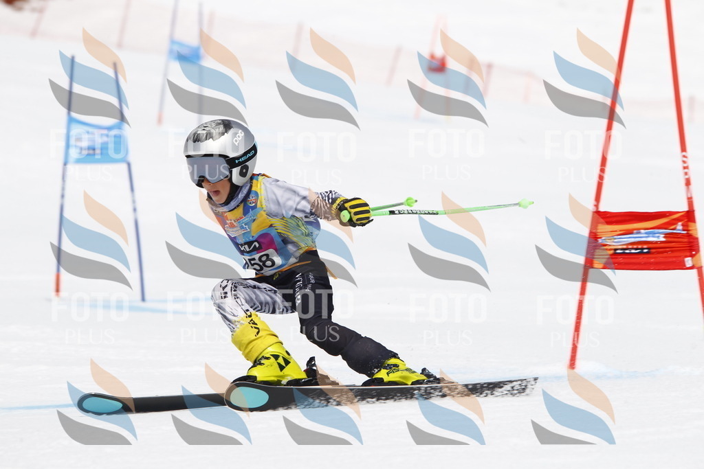 _U3G6491 | holidayphoto