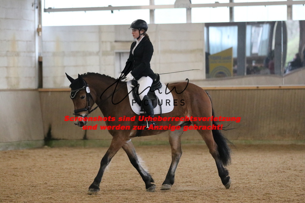 IMG_3696 | lmwpictures - Realisiert mit Pictrs.com