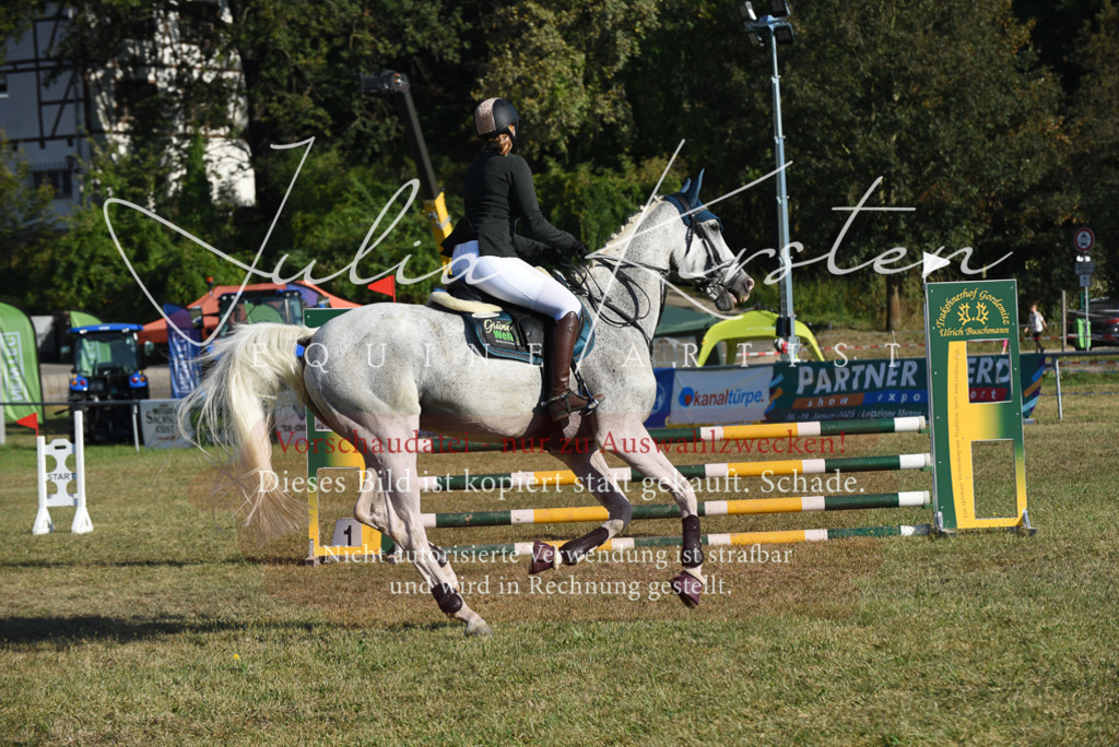 DSC_5207 | Pferde- und Turnierfotografie in Westsachsen. Pferdeportraits, Auftragszeichnungen und intuitive Kunst.