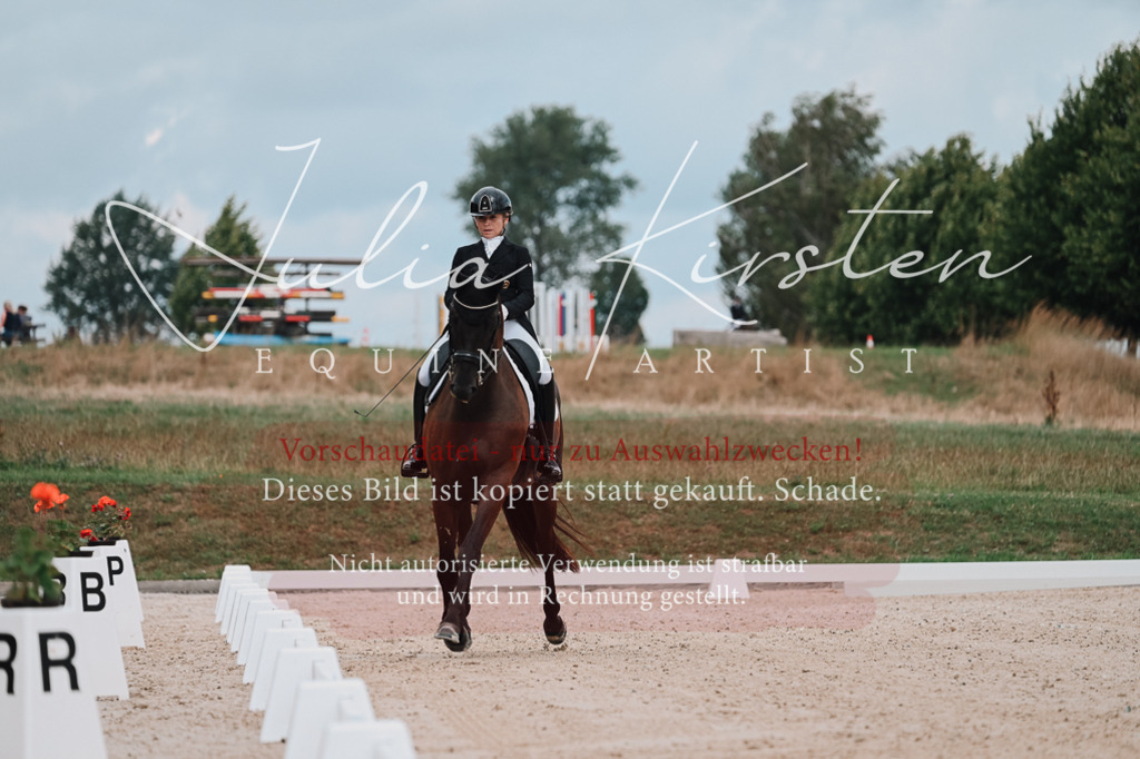 DSC_4166 | Pferde- und Turnierfotografie in Westsachsen. Pferdeportraits, Auftragszeichnungen und intuitive Kunst.