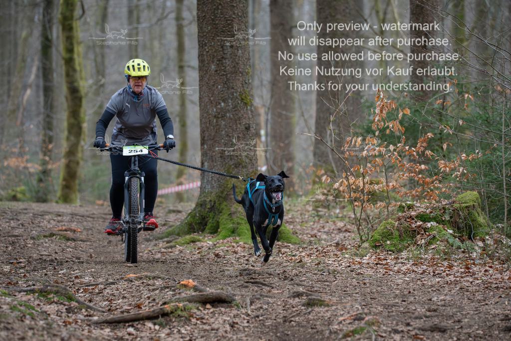 Bike_So-177 | stephaniefillaphotographie - Realisiert mit Pictrs.com