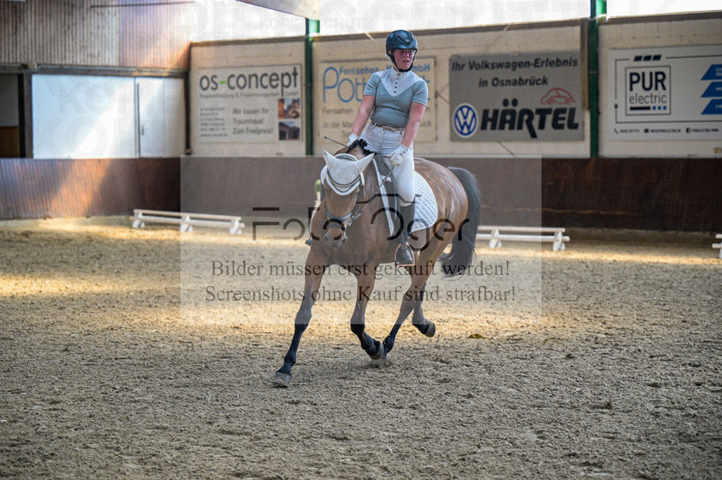 Reitturnier Voxtrup | Entdecke hochwertige Reitturnierfotos von Foto Oger. Professionell, emotional und authentisch – jetzt Lieblingsmomente im Shop bestellen.Deutschlandweite Turnierfotografie. - Realisiert mit Pictrs.com