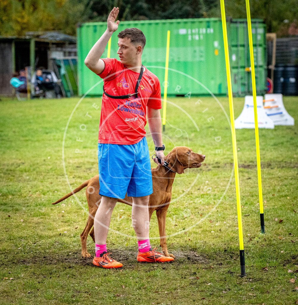 Pfotenfotografie_DV3A1551 | Hundefotografie, Tierfotograf, Pfotenfotografie, Fotoshooting Hund, Hunde Portrait, Hundesport, Hundeportraits, Heideshooting, Hunde, Sportfotograf, Hundefotograf, Turnierhundsport, THS,  - Realisiert mit Pictrs.com