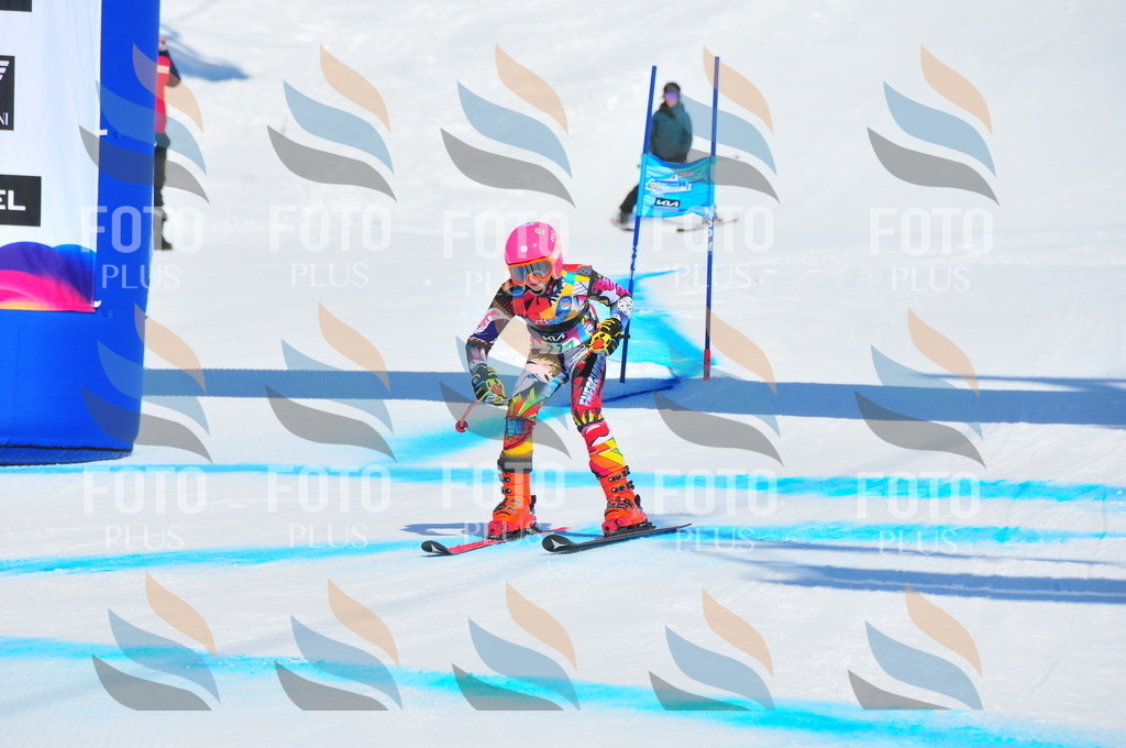 DSC_0909 | holidayphoto