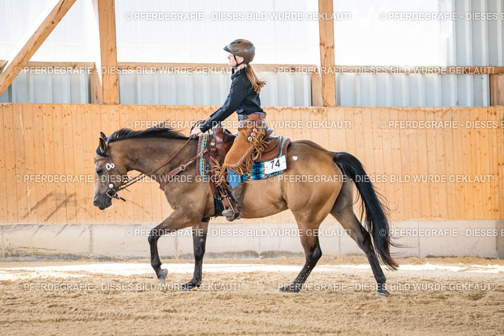 DSC03409 | Pferdegrafie