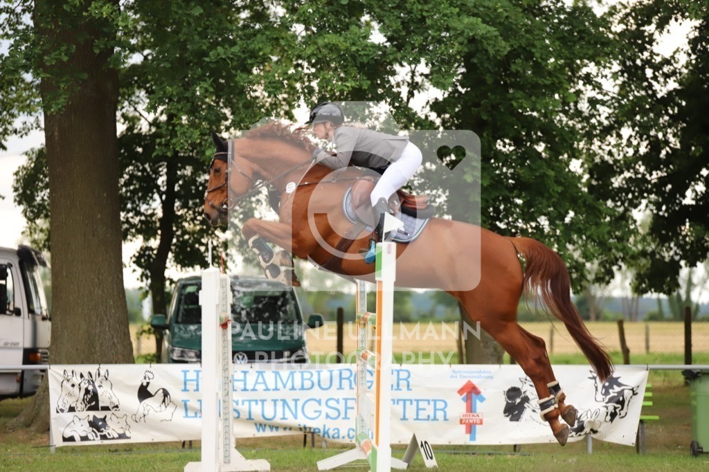 IMG_8279 | Pauline Ullmann Photography - Realisiert mit Pictrs.com