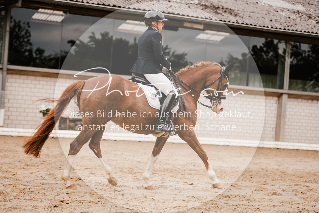 3I6A7781 | Stimmungsvolle Portraits und Reitsportfotografie im Ruhrgebiet und im Münsterland.

Pferdefotografie, Hundefotografie, Tierfotografie, Reportagen, Portraits von Tier und Mensch, Turnierfotografie in Bochum, Recklinghausen, Marl, Haltern am See, Dülmen.. - Realisiert mit Pictrs.com