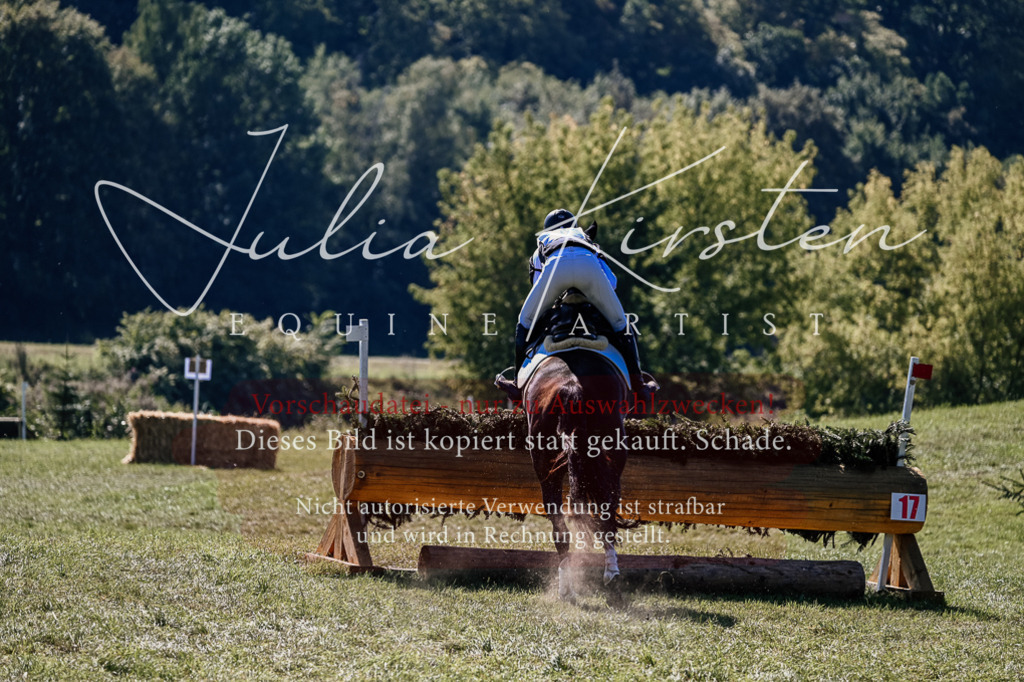 DSC_1481 | Pferde- und Turnierfotografie in Westsachsen. Pferdeportraits, Auftragszeichnungen und intuitive Kunst.