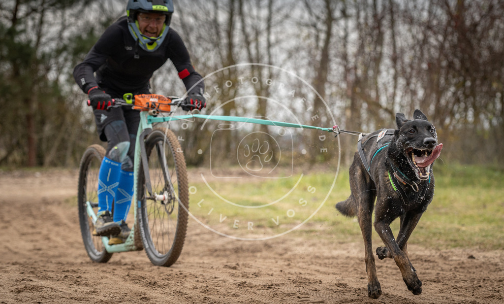 Pfotenfotografie_DV3A0039 | Hundefotografie, Tierfotograf, Pfotenfotografie, Fotoshooting Hund, Hunde Portrait, Hundesport, Hundeportraits, Heideshooting, Hunde, Sportfotograf, Hundefotograf, Turnierhundsport, THS,  - Realisiert mit Pictrs.com