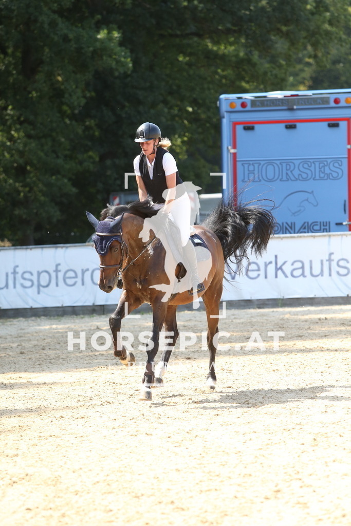 DL2Q1452 | Willkommen bei Brunnmayr - Design & Fotografie – Ihrem Spezialisten für Reitturniere und Pferdeveranstaltungen in Oberösterreich, Salzburg und Bayern! Seit über 17 Jahren sind wir leidenschaftlich dabei.