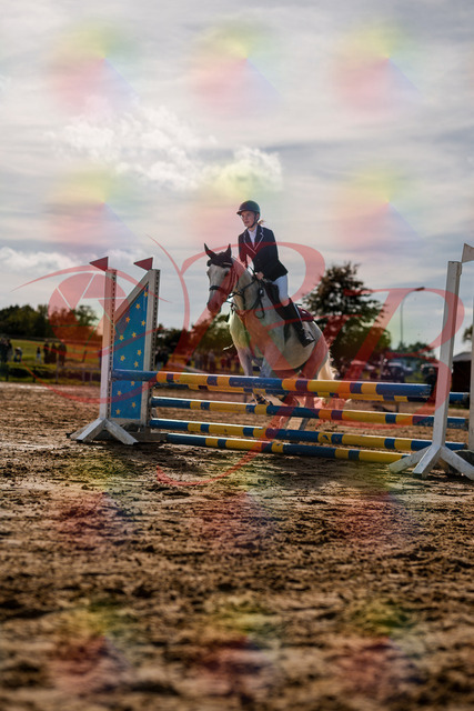 2026_10_03_Siefer-Hof_155119_Z63_10232389 | Professionelle Reitsport-, Turnier- und Eventfotografie von Robert Broda. Galerien mit ausgewählten und bearbeiteten Bildern direkt online ansehen und bestellen.