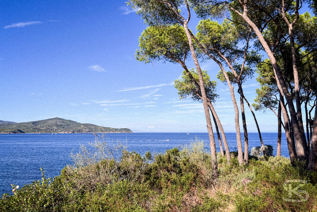 Mediterraner Küstentraum: Pinien am Meer, Spiaggia di Istia, Elba – Wandbild | Mediterrane Pinien am Ufer der Spiaggia Si Istia auf Elba, mit Blick auf das türkisblaue Meer, Küstenlandschaft und Boote im Hintergrund - Realisiert mit Pictrs.com