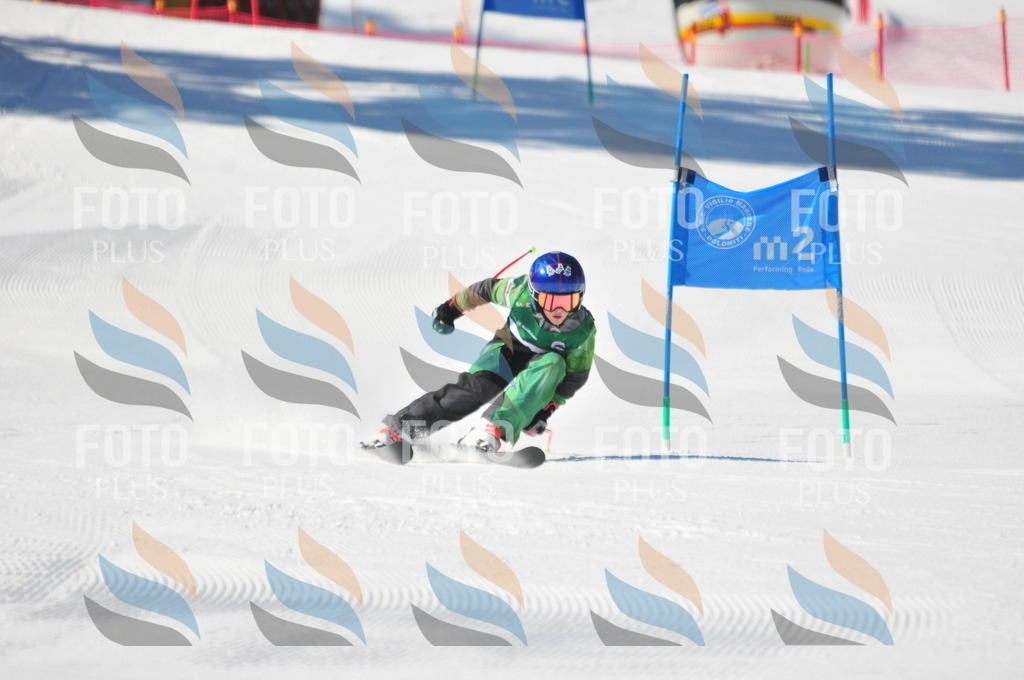 C2985 | holidayphoto