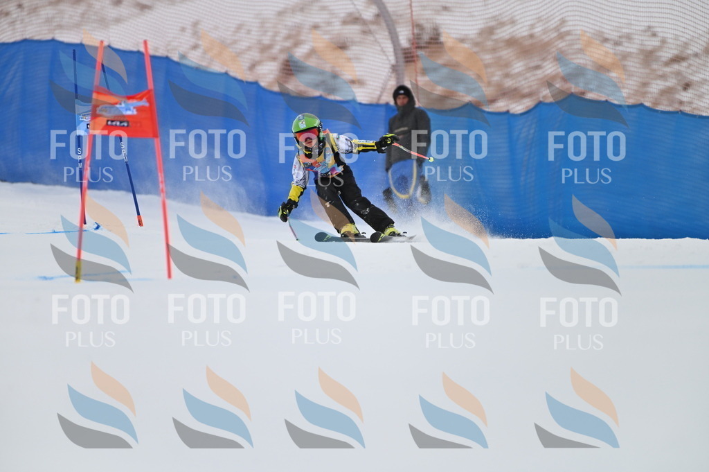 BGV_0557 | holidayphoto