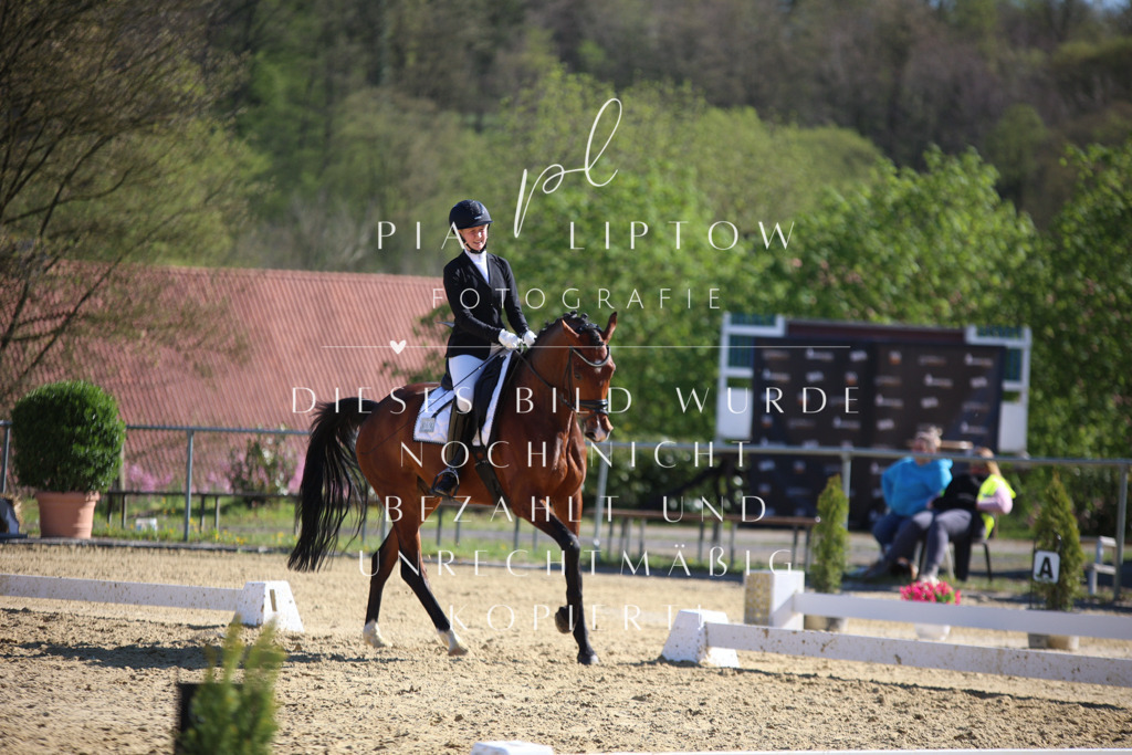 IMGT8946 | pl-fotografie