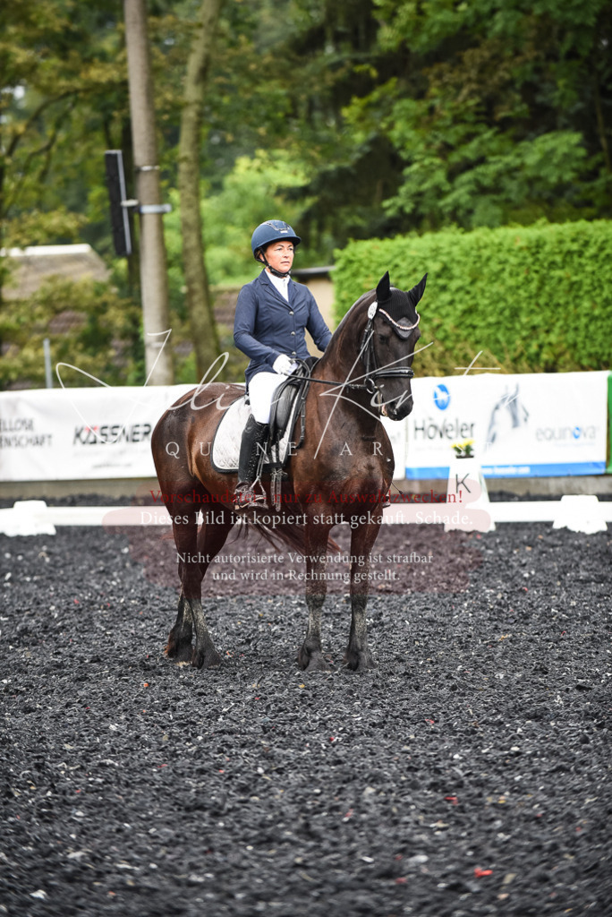 DSC_2782 | Pferde- und Turnierfotografie in Westsachsen. Pferdeportraits, Auftragszeichnungen und intuitive Kunst.