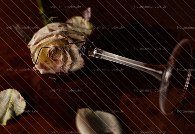 20260515-IMG_5602 | Authentische Fotografie für Menschen, Marken und Räume. Portraits, Editorial, Fine Art und atmosphärische Bildwelten im Werra-Meißner-Kreis, Kassel und Eisenach. Emotion im Fokus.