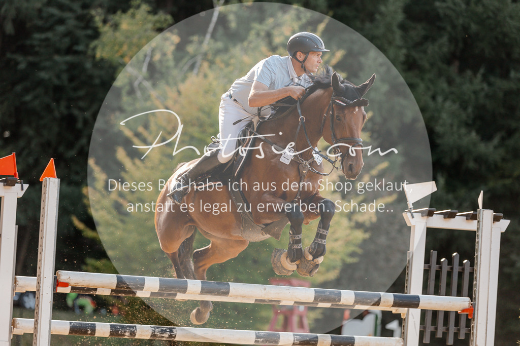 3I6A5246 | Stimmungsvolle Portraits und Reitsportfotografie im Ruhrgebiet und im Münsterland.

Pferdefotografie, Hundefotografie, Tierfotografie, Reportagen, Portraits von Tier und Mensch, Turnierfotografie in Bochum, Recklinghausen, Marl, Haltern am See, Dülmen.. - Realisiert mit Pictrs.com