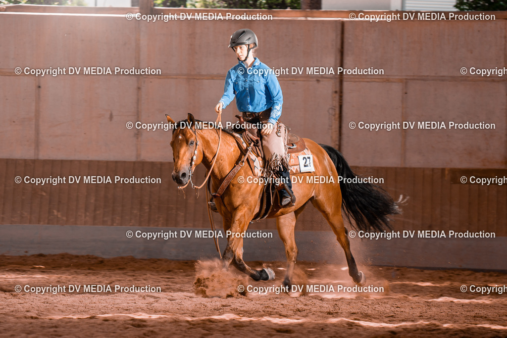 NE200745 | dv-media-shop - Realisiert mit Pictrs.com