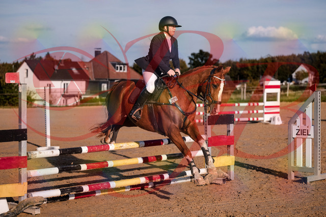 2026_10_03_Siefer-Hof_171707_Z81_14779103 | Professionelle Reitsport-, Turnier- und Eventfotografie von Robert Broda. Galerien mit ausgewählten und bearbeiteten Bildern direkt online ansehen und bestellen.