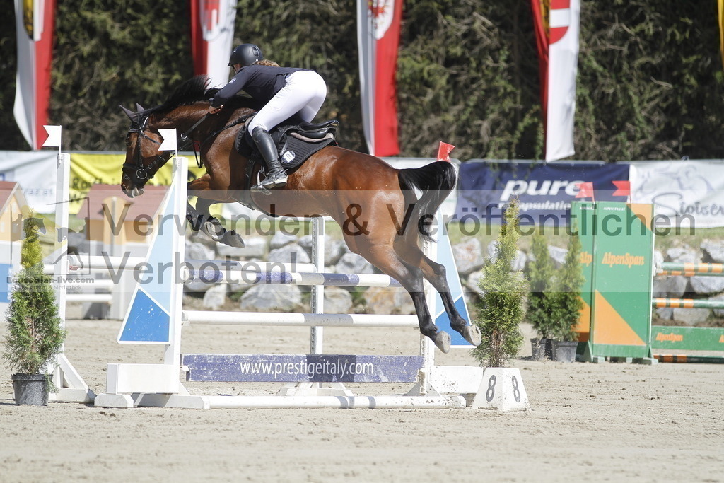 _MG_5537 | equestrian-live-com